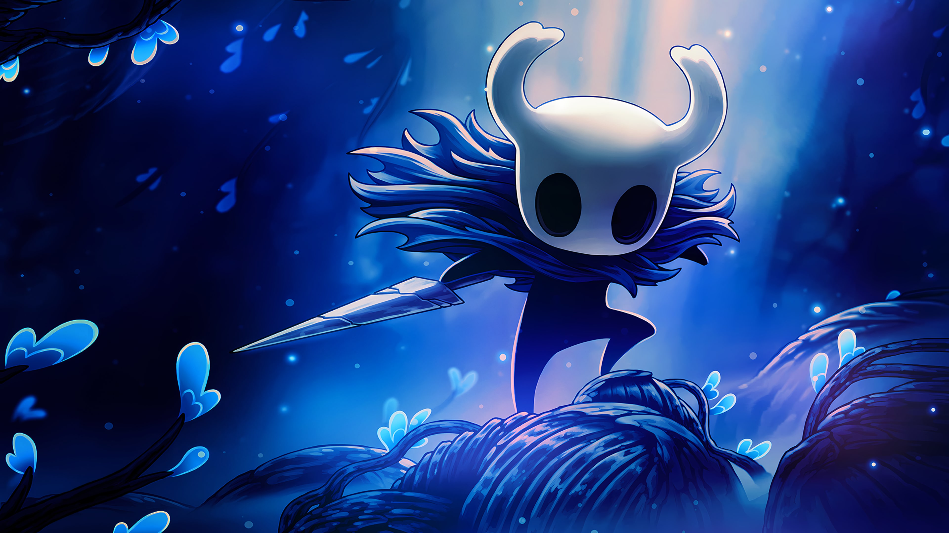 Hollow Knight (диск)